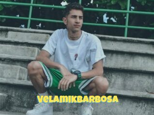 Velamikbarbosa