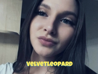 Velvetleopard