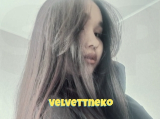 Velvettneko