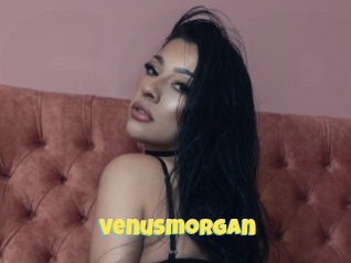 Venusmorgan