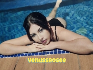Venussrosee