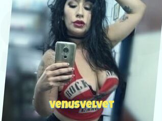 Venusvelvet