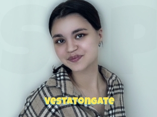 Vestatongate