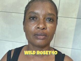 WILD_ROSEY40