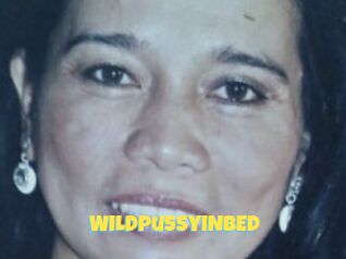 WILDpussyINBED