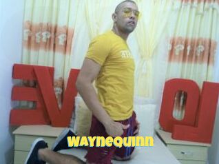 WayneQuinn