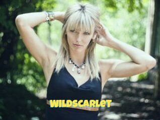 WildScarlet