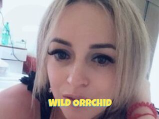 Wild_Orrchid