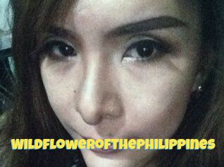 Wildflowerofthephilippines