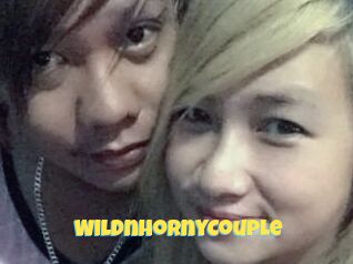WildnHornyCouple