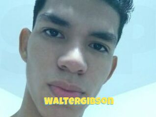 Waltergibson