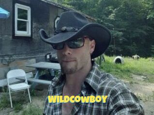 Wildcowboy