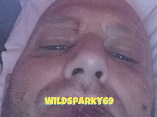 Wildsparky69