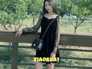 Xiaokea1