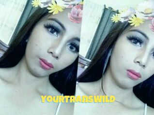 YourTransWild