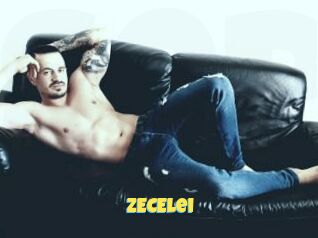 ZECElei