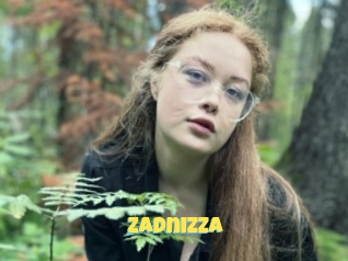 Zadnizza