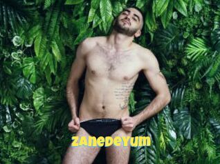 Zanedeyum