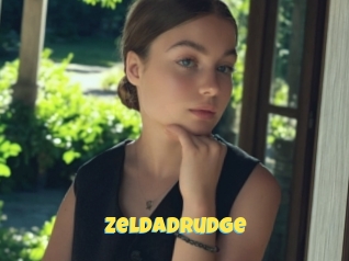 Zeldadrudge