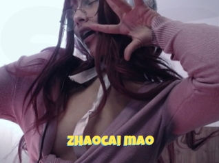 Zhaocai_mao