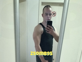 Zsomb95